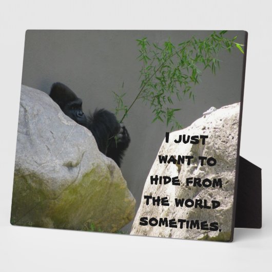 WELTWEITEN FOTOPLATTE (Seite)