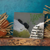 WELTWEITEN FOTOPLATTE (Seite)