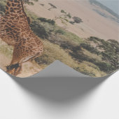 WELTWILDLIFE TAG GESCHENKPAPIER (Ecke)