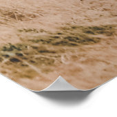 WELTWILDLIFE TAG POSTER (Ecke)