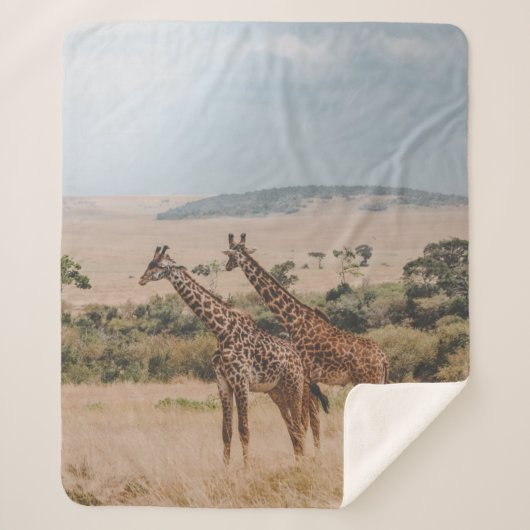 WELTWILDLIFE TAG SHERPADECKE (Vorderseite)