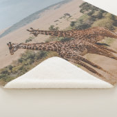 WELTWILDLIFE TAG SHERPADECKE (3/4)