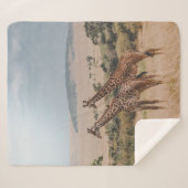 WELTWILDLIFE TAG SHERPADECKE (Vorderseite (Horizontal))