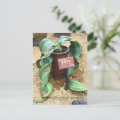 Welwitschia mirabilis [Postkarte] Postkarte (Stehend Vorderseite)