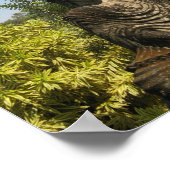 Wen beten Sie? Nong Khai, Isaan, Thailand Poster (Ecke)