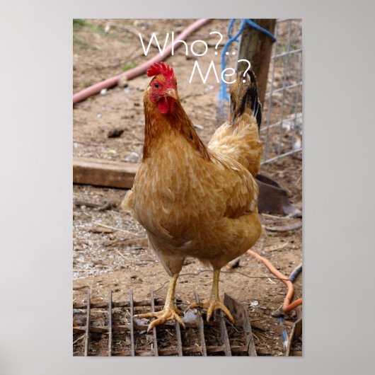 Wen nennen Sie bei Hühnchen? Poster (Vorne)