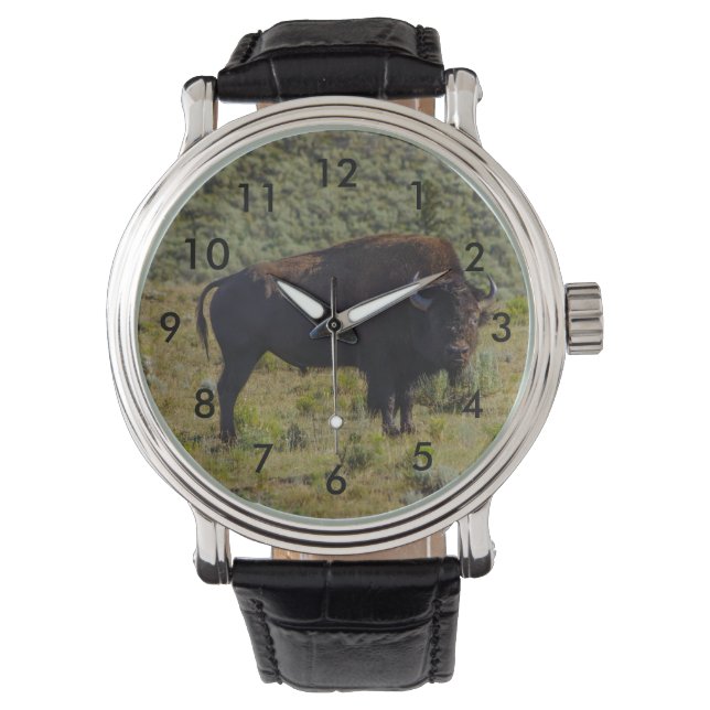 Wen Sie sich ansehen Armbanduhr (Vorderseite)