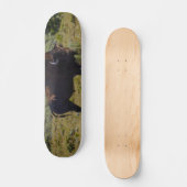 Wen Sie sich ansehen Skateboard (Vorderseite)
