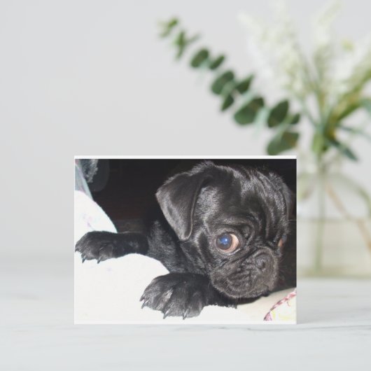 Wen siehst du an? postkarte (Stehend Vorderseite)