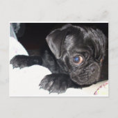 Wen siehst du an? postkarte (Vorderseite)