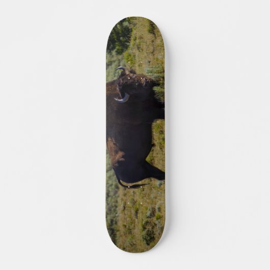Wen Siehst Du An Skateboard (Vorne)