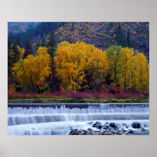 Wenatchee-Staudamm im Herbst Poster