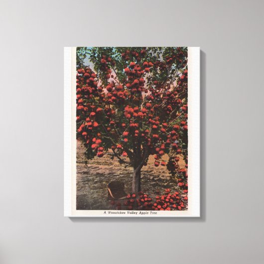 Wenatchee, WAA Wenatchee Valley Apple Tree Leinwanddruck (Vorderseite)