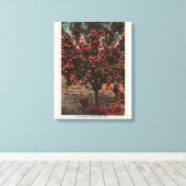 Wenatchee, WAA Wenatchee Valley Apple Tree Leinwanddruck (Insitu (Holzboden))