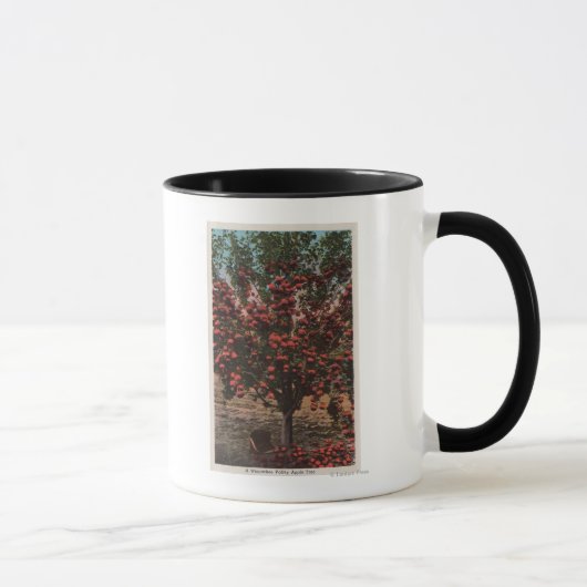 Wenatchee, WAA Wenatchee Valley Apple Tree Tasse (Rechts)