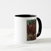 Wenatchee, WAA Wenatchee Valley Apple Tree Tasse (VorderseiteRechts)