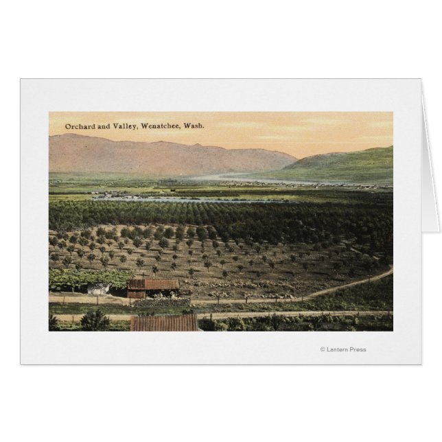 Wenatchee, WashingtonLuftbild eines Obstgartens (Vorderseite (Horizontal))