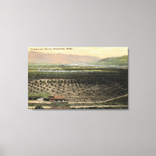 Wenatchee, WashingtonLuftbild eines Obstgartens Leinwanddruck