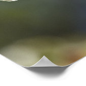 "Wende to Light" Virginia Dogwood Poster (Ecke)