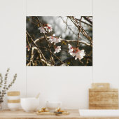 Wendekrebs 2 poster (Küche)