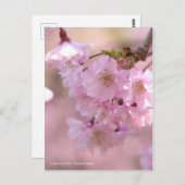 Wendekrebs: Yaebenishidare [Postkarte] Postkarte (Vorne/Hinten)