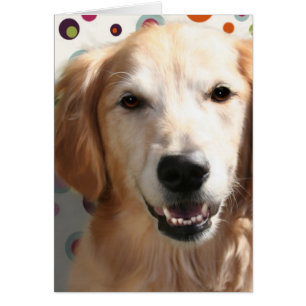 Wendy the Golden Retriever