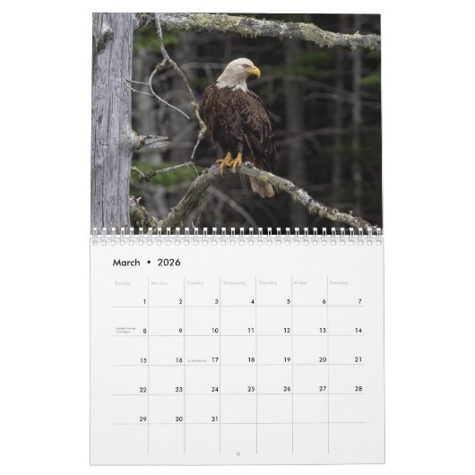 Wendy’ Wish 2026 18 Month, Medium Calendar Kalender (Mär 2026)