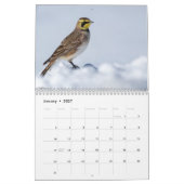 Wendy's Wunsch 2026 18 Monate, Mittlerer Kalender (Jan 2027)