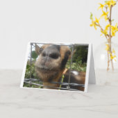 WENIG ALT WÜNSCHT MIR, DASS ICH DU BURTSTAG WENIG  KARTE (Gelbe Blume)