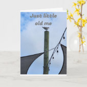 WENIG ALT WÜNSCHT MIR, WENIG ALT ZU SEIN, DASS DU  KARTE (Gelbe Blume)