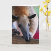 Wenig Anteater-Gruß-Karte Karte (Gelbe Blume)