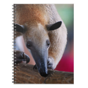 Wenig Anteater-Notizbuch Notizblock