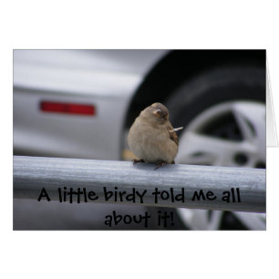 Wenig Birdy (kundengerecht!)