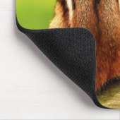 Wenig Chipmunk-Ruhe-Gebet Mousepad (Ecke)