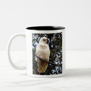 Wenig Corella Zweifarbige Tasse