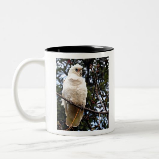 Wenig Corella Zweifarbige Tasse (Links)