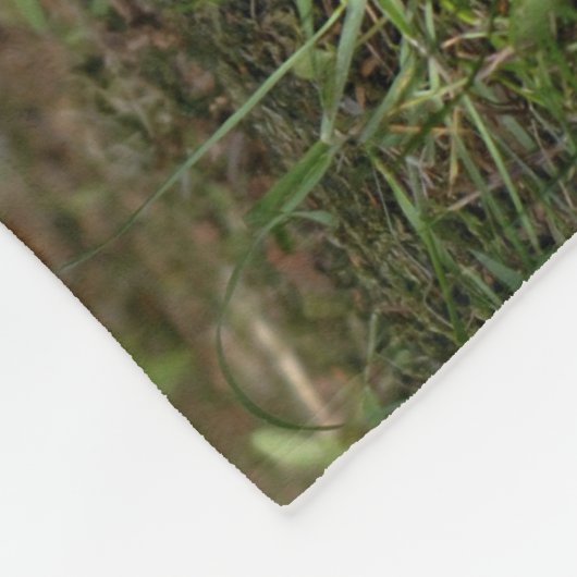 Wenig CUBroter Fox Fleecedecke (Ecke)