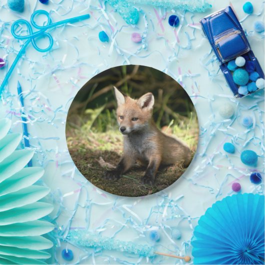 Wenig CUBroter Fox Pappteller (Party)