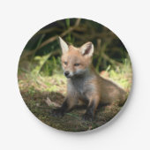 Wenig CUBroter Fox Pappteller (Vorderseite)