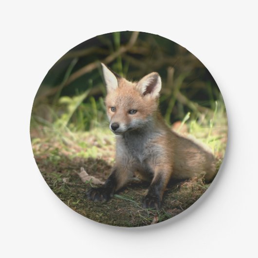 Wenig CUBroter Fox Pappteller (Vorderseite)