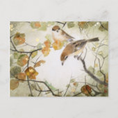 Wenig Geschöpf-Stier-köpfige Shrikes Postkarte (Vorderseite)