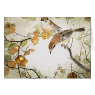 Wenig Geschöpf-Stier-köpfiges Shrikes