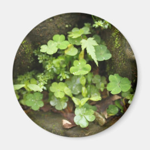 Wenig Grüntöne Magnet