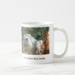 Wenig (kurzer Bill) Corella Kaffeetasse
