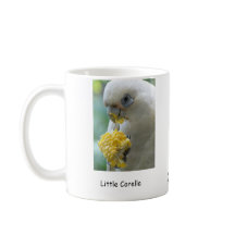 Wenig (kurzer Bill) Corella