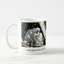 Wenig (kurzer Bill) Corellas Kaffeetasse
