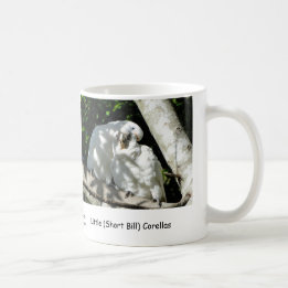 Wenig (kurzer Bill) Corellas Kaffeetasse