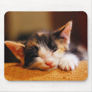 Wenig Miezekatze-Schlafen Mousepad