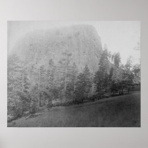 Wenig MissouriButte Beyod Feld und Bäume Poster