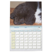 Wenig Newfie Mädchen Kalender (Feb 2027)